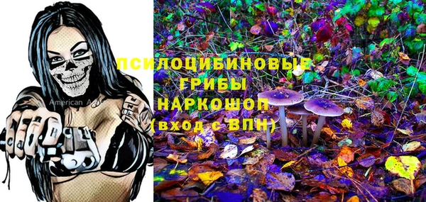 СК Корсаков