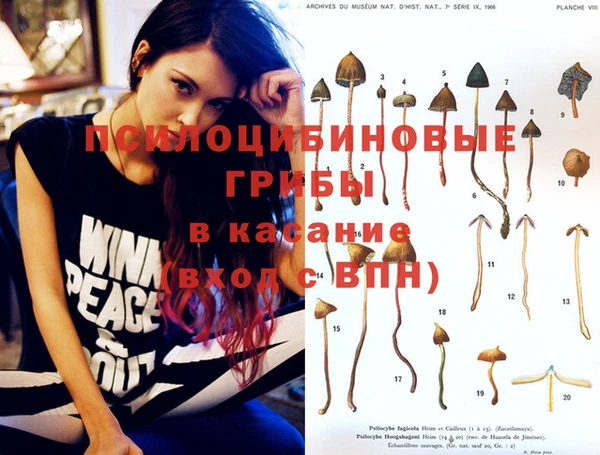 mdma Коряжма