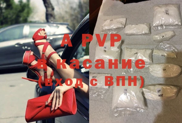 СК Корсаков