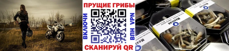Псилоцибиновые грибы ЛСД  Купить закладки  Ижевск 